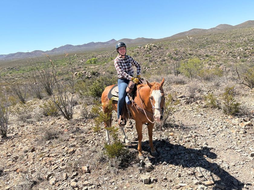 Ruiter met cowboyhoed in de woestijn van Arizona