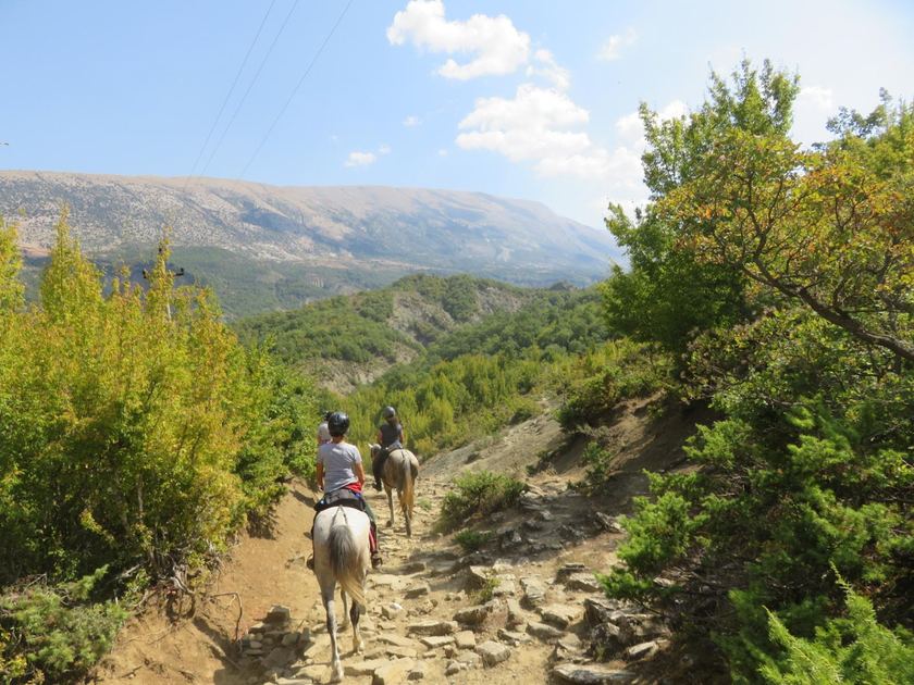 Ruiters op een bergpad in Albanië