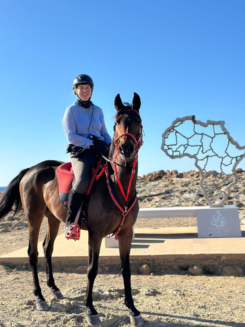 Ruiter op een donker Arabisch paard in Tunesië