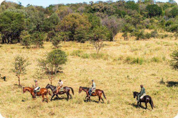 Ruiters te paard in de natuur
