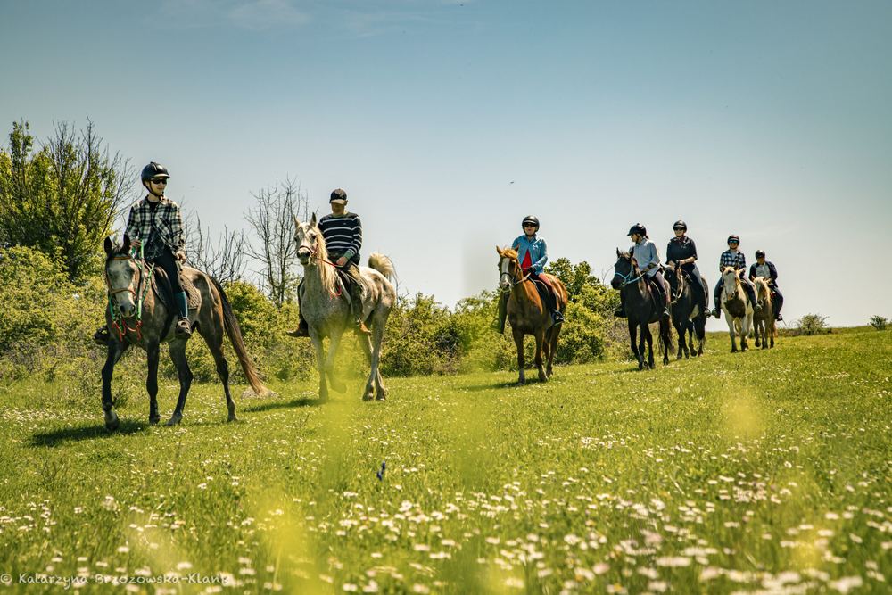 Groep ruiters in een bloeiende weide