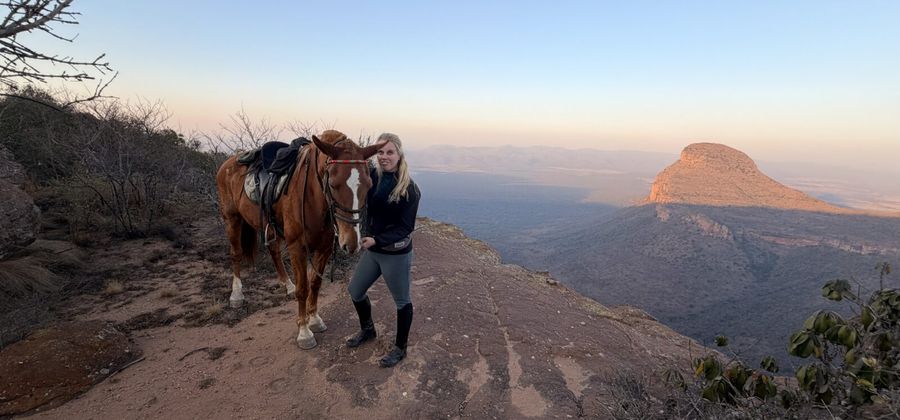 Ruiter naast haar paard bij zonsondergang