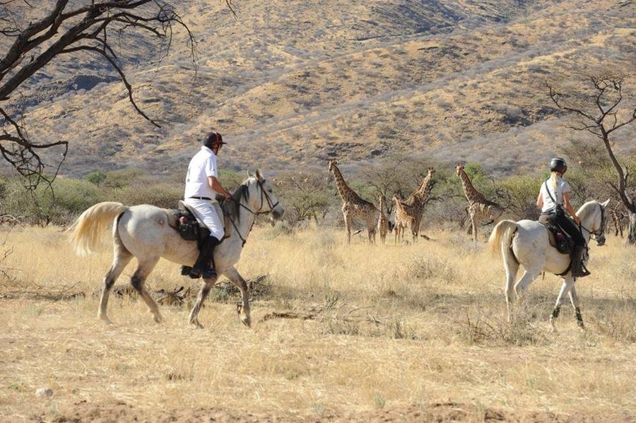 Ruiters op safari in Zuid-Afrika