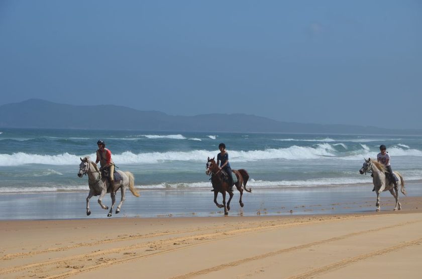 Ruiters op het strand in Australië