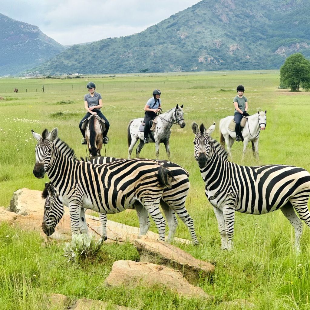 Ruiters tussen zebra's op de savanne