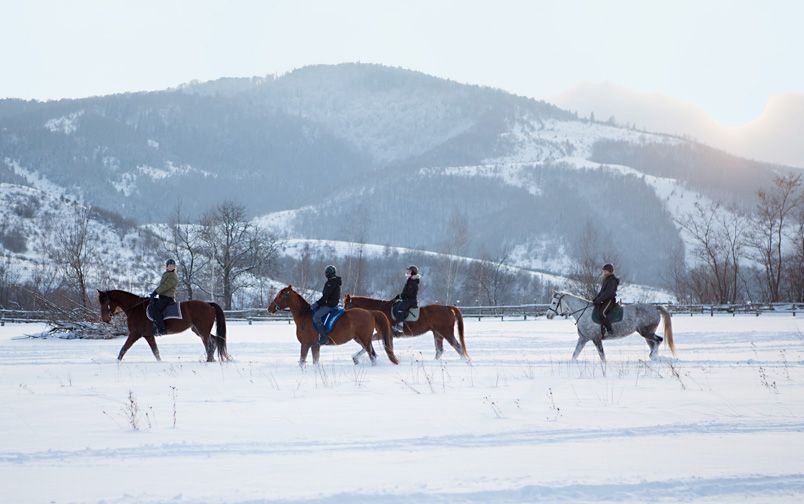 Paardrijden in de winter in Roemenië